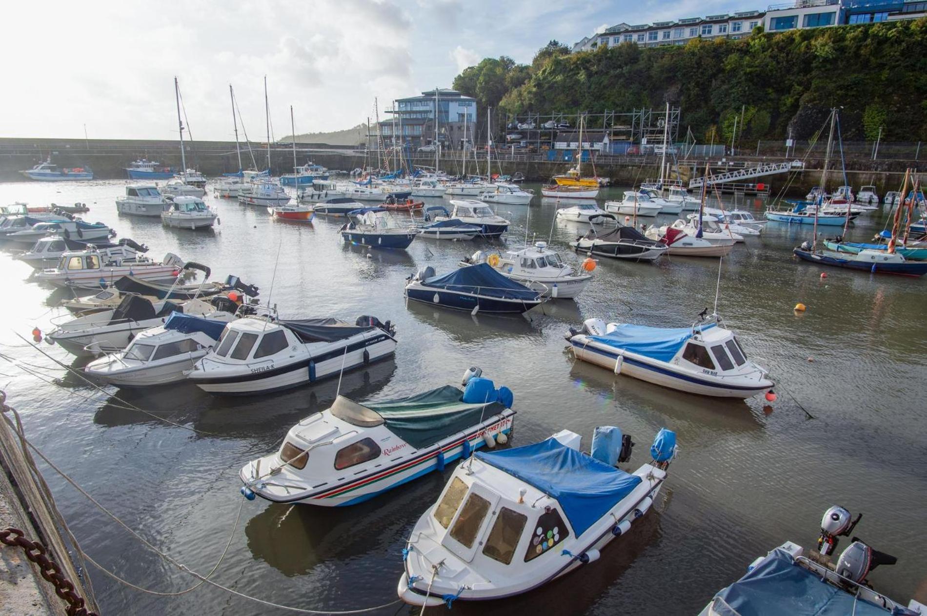 Ocean Cabins No 3 At The Square - Saundersfoot Værelse billede