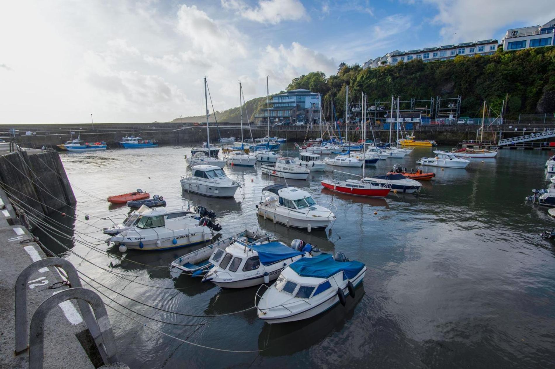 Ocean Cabins No 3 At The Square - Saundersfoot Værelse billede